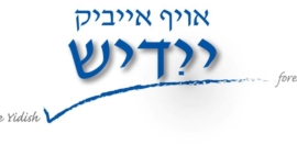 Imagen1logoidish-1-270x152